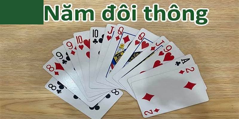 Tìm hiểu thông tin về 5 đôi thông